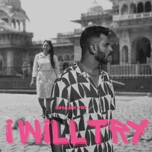 I will try Album Art