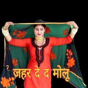 JAHAR DEDE MOLU (Mewati Song) Album Art