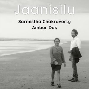Jaanisilu Album Art