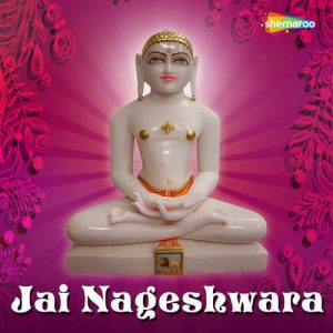 Jai Nageshwara Album Art