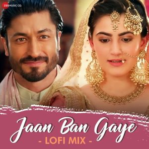 Jan Ban Gaye Lofi Mix Album Art