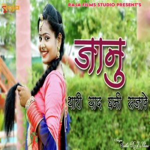 Janu Thari Yaad Ghani Satave Album Art