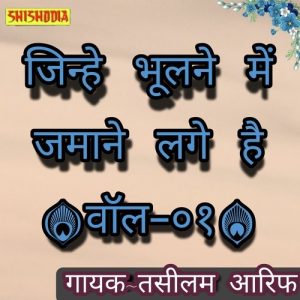 Jinhen Bhulne Mein Jamane Lage Hain Vol 01 Album Art