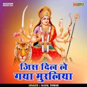Jis Dil Le Gaya Murliya Album Art