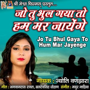 Jo Tu Bhul Gaya To Hum Mar Jayenge Album Art