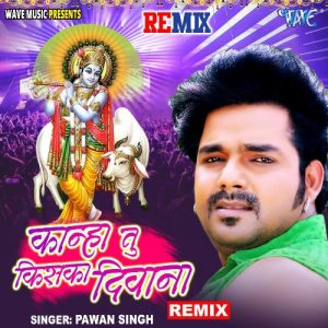 Kanha Tu Kiska Deewana – Remix