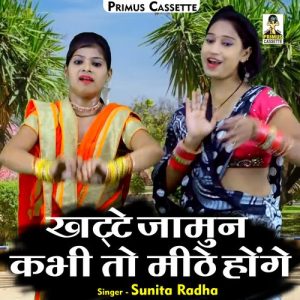 Khatte Jamun Kabhi To Mithe Honge Album Art