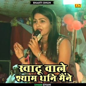 Khatu Wale Shyam Dhani Maine Album Art