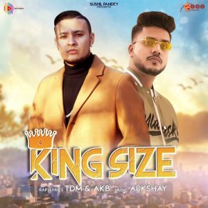 King Size (AKB x TDM) Album Art