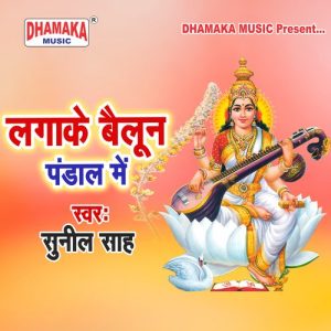 Lagake Baloon Pandal Me Album Art
