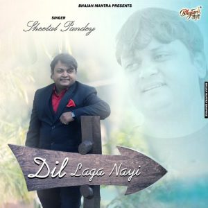 Lagaya Dil Bahut Per Dil Laga Nahi Album Art
