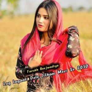 Log Lagaati Dole Jithani Meri Sr 8030 Album Art