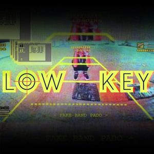 Lowkey (2020) Album Art