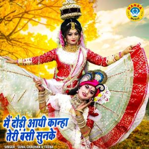 Main Daudi Aayi Kanha Teri Bansi Sunke Album Art