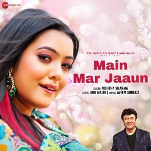 Main Mar Jaaun Album Art