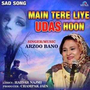 Main Tere Liye Udas Hoon Album Art