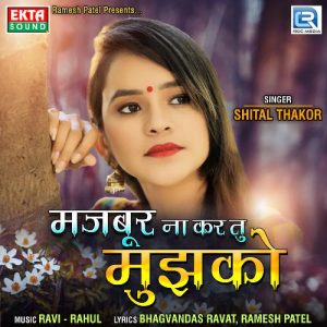 Majbur Na Kar Tu Mujhko Album Art