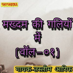 Makhdum Ki Galiyon Mein Vol 1 Album Art