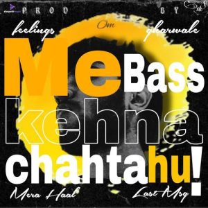 Me Bass Kehna Chahta Hu Album Art