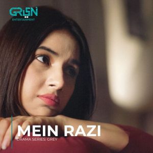 Mein Razi (Original Soundtrack From “Grey”)