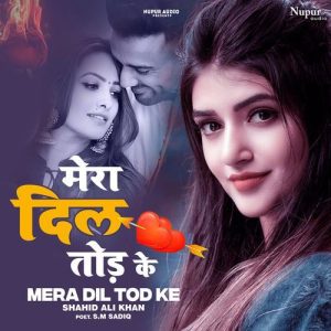 Mera Dil Tod Ke Album Art