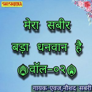 Mera Sabir Bada Dhanwan Hai Vol 02 Album Art