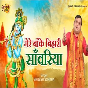 Mere Banke Bihari Sawariya Album Art