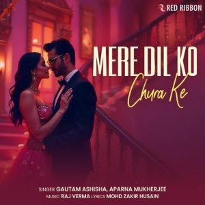 Mere Dil Ko Chura Ke Album Art