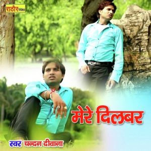 Mere Dilbar (Hindi) Album Art