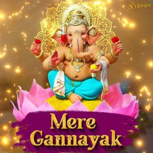 Mere Gannayak Album Art