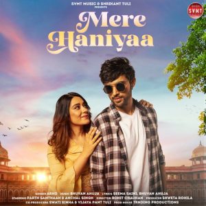 Mere Haniyaa Album Art