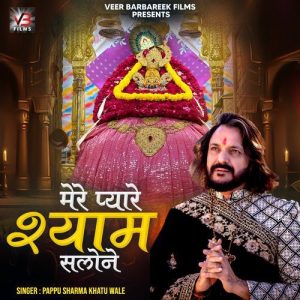 Mere Pyare Shyam Salone Album Art