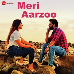 Meri Aarzoo Album Art