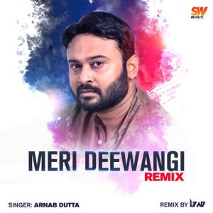 Meri Deewangi (Remix) (2019) Album Art