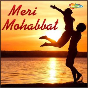 Meri Mohabbat Album Art