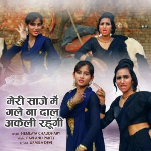 Meri Saje Me Gale Na Daal Album Art