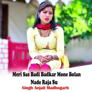 Meri Sas Badi Badkar Mone Bolan Nade Raja Su Album Art