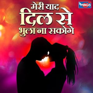 Meri Yad Dil Sa Bhulana Sakoge Album Art