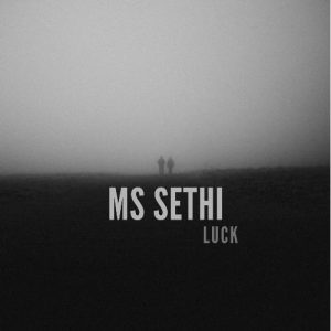Ms. Sethii Album Art