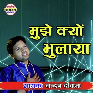Mujhe Kyu Bhulaya (Hindi)