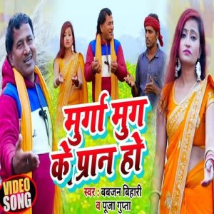 Murga Murgi Ke Paran Ho