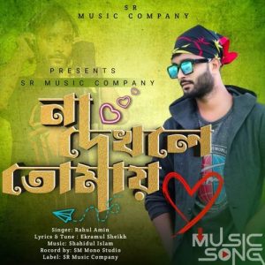 Na Dekhle Tomai Album Art