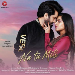 Na Tu Mili Album Art