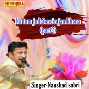 Na Tum Judai Mein Jan Khona Part 2 Album Art
