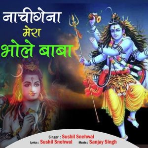 Nachi gena mera bhole baba Album Art