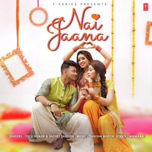 Nai Jaana Album Art
