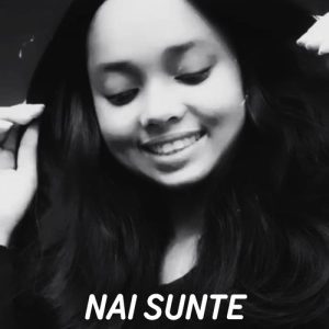 Nai Sunte Album Art