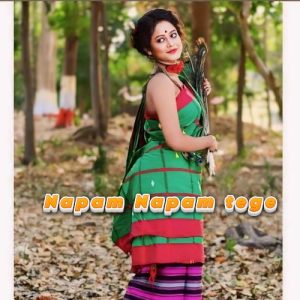 Napam Napam Tege Album Art