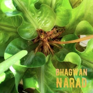 Narad Album Art