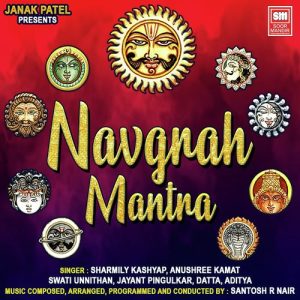 Navgrah Shanti Mantra 108 Times Album Art